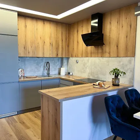 Apartament Jaskolka 公寓 *