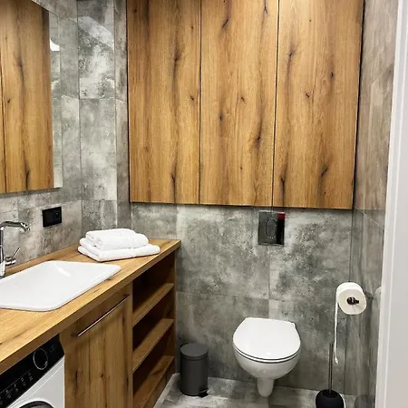 Apartament Jaskolka 公寓 维尔卡瑟
