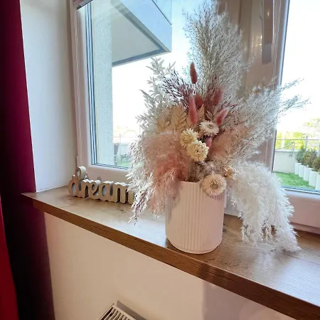 Apartament Jaskolka 公寓 *