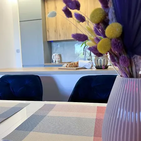 Apartament Jaskolka 公寓 维尔卡瑟